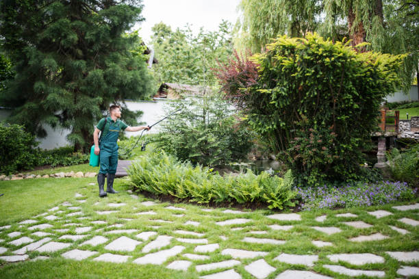 Best Pest Control for Businesses  in Urbana, IA
