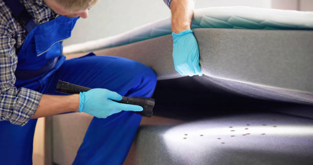 Best Affordable Pest Control Services  in Urbana, IA