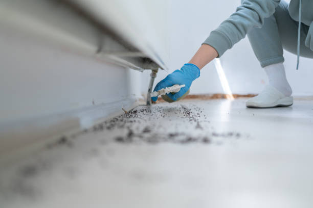 Urbana, IA Pest Control Company