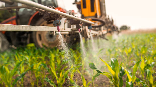 Best Pest Control for Homes  in Urbana, IA